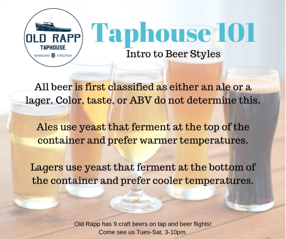 Taphouse 101: Intro to Beer Styles begins with the basics, ale vs lager. Stay…